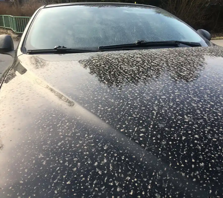 Ein schwarzes Auto mit Staub- und Schmutzflecken, mit sichtbaren Schlieren auf der Windschutzscheibe und der Motorhaube, das im Freien in der Nähe eines Zauns und von Bäumen geparkt ist.